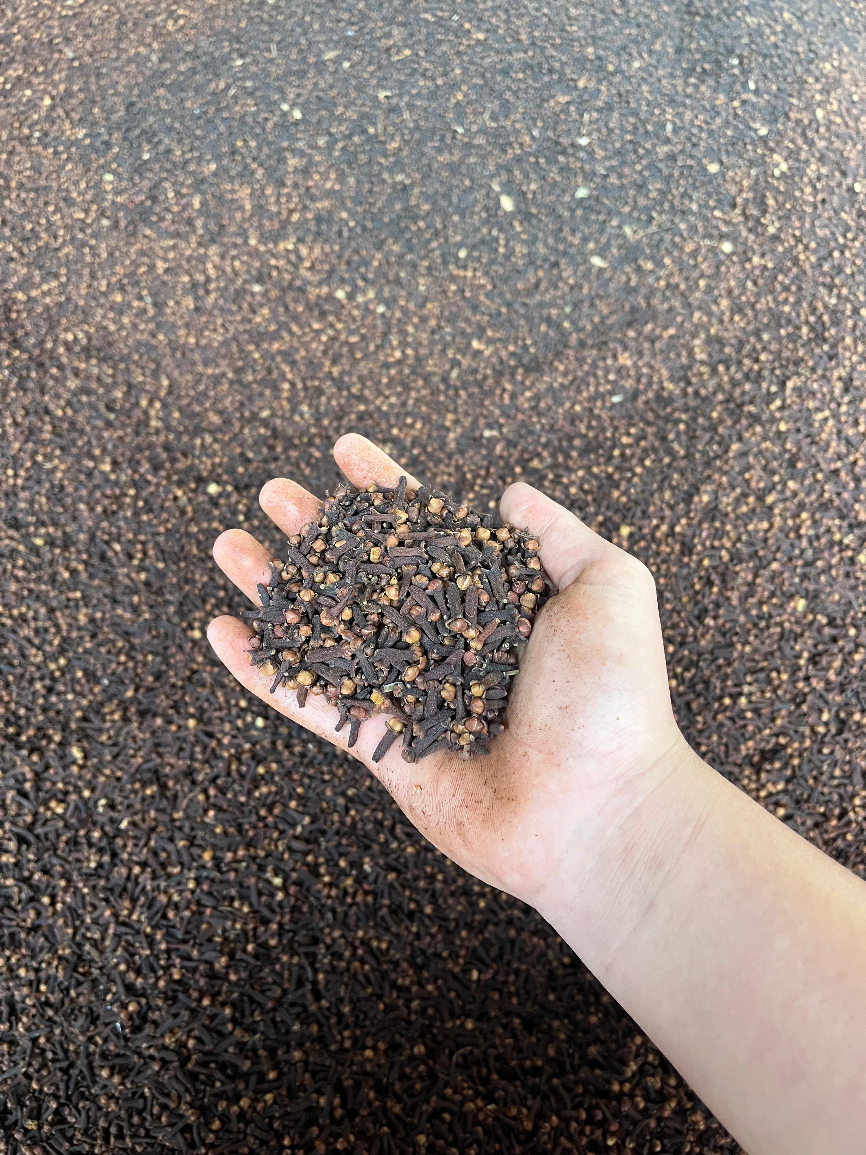Cloves
