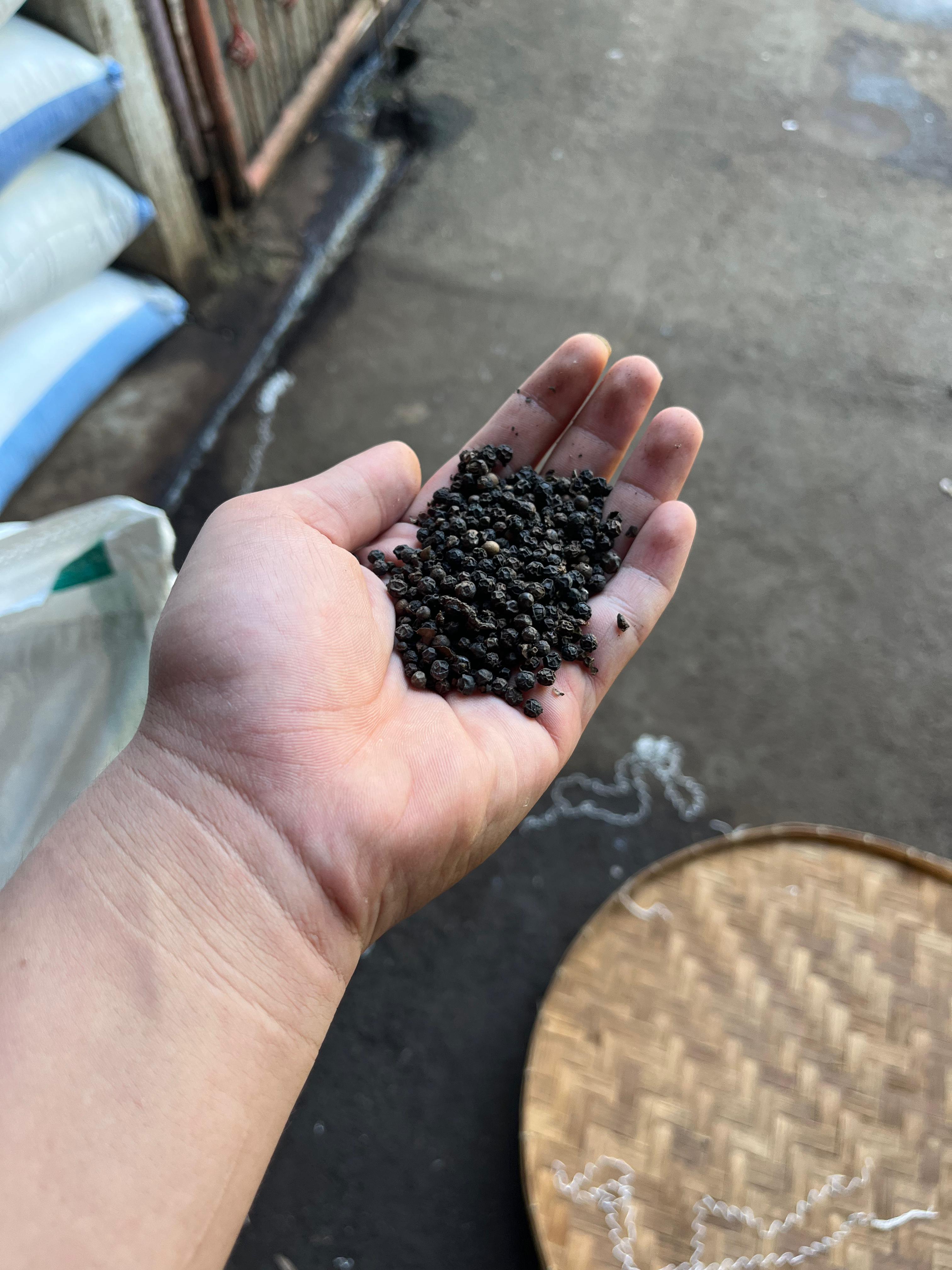 Black Pepper