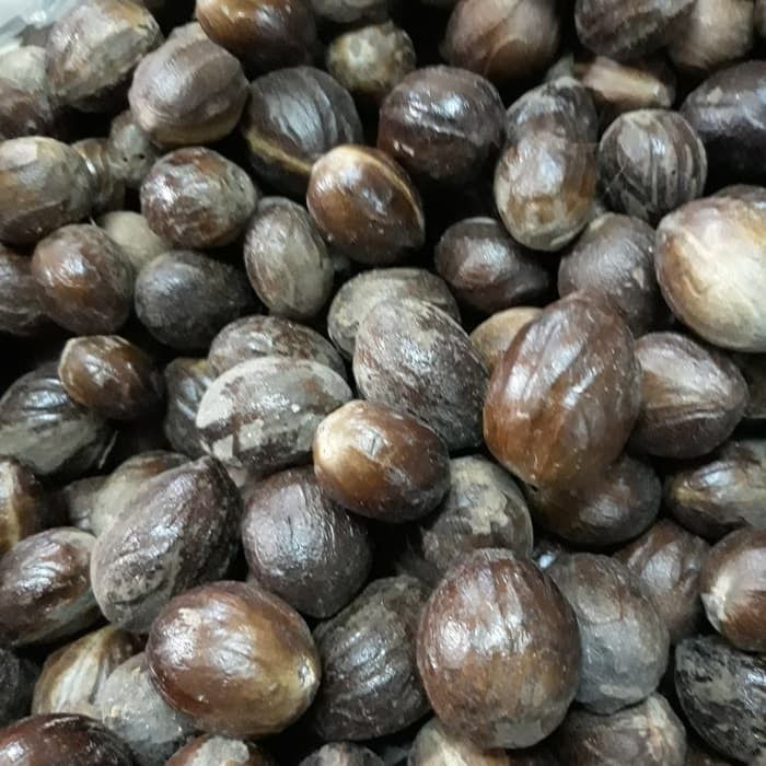 Nutmeg
